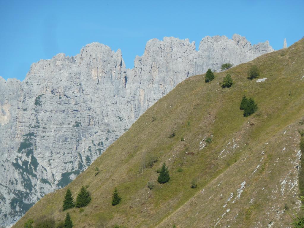 B&B Giardini Dell'Ardo Belluno Exterior photo